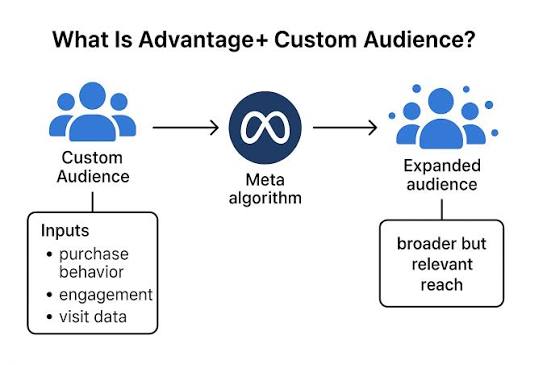 Advantage+ Audience Illustration