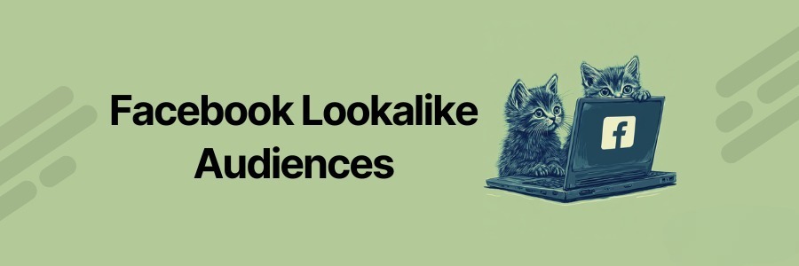 Facebook Ads Campaign Audience Strategy